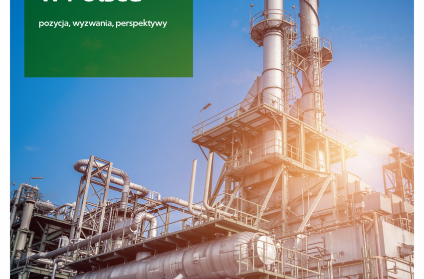  Raport „Przemysł chemiczny w Polsce – pozycja, wyzwania i perspektywy” za rok 2020